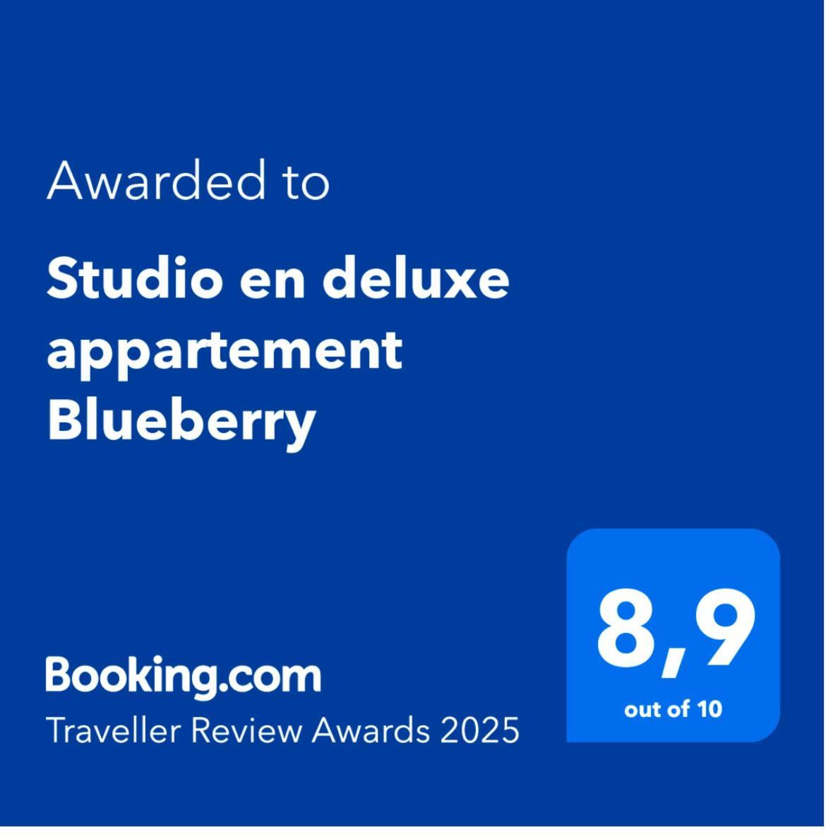 Studio En Deluxe Appartement Blueberry Zandvoort Exterior foto